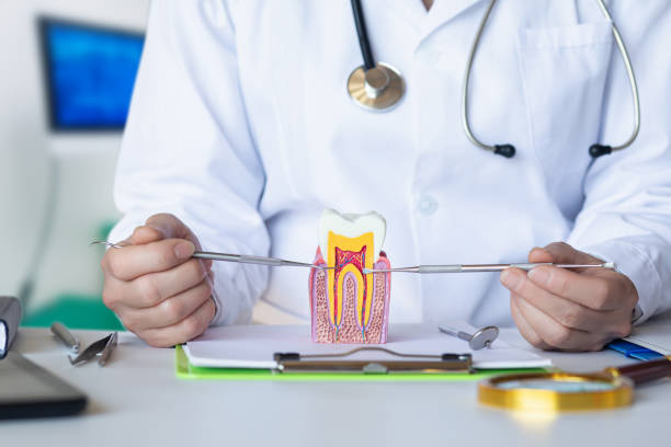Best Cosmetic Emergency Dentistry in Laurium, MI
